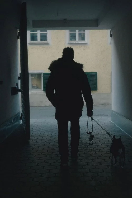 The Walk
