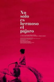 No Sólo Es Hermoso El Pájaro