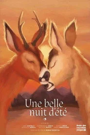 Une belle nuit d'été