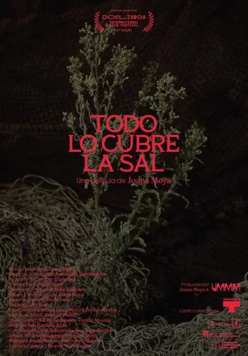 Todo lo cubre la sal