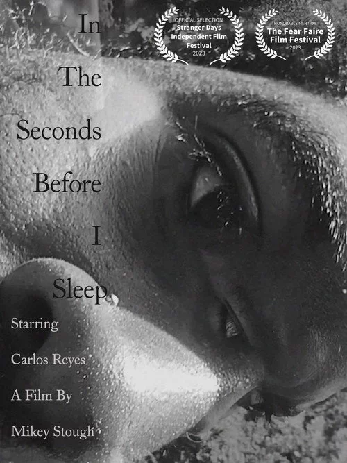 In the Seconds Before I Sleep