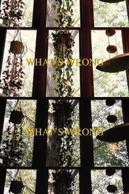 What's Wrong