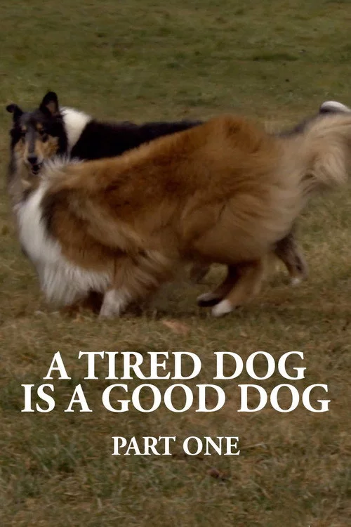 A Tired Dog is a Good Dog, Part One