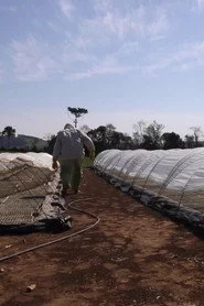 Travessias em Busca da Agroecologia