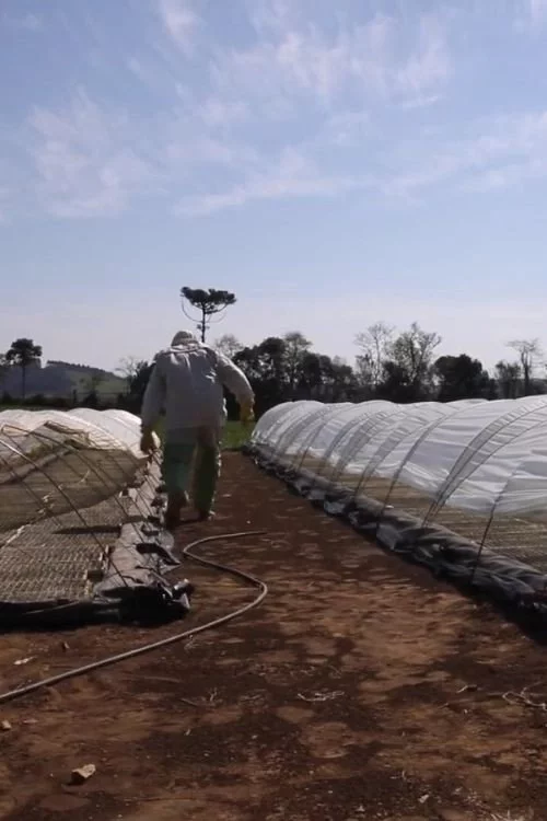 Travessias em Busca da Agroecologia