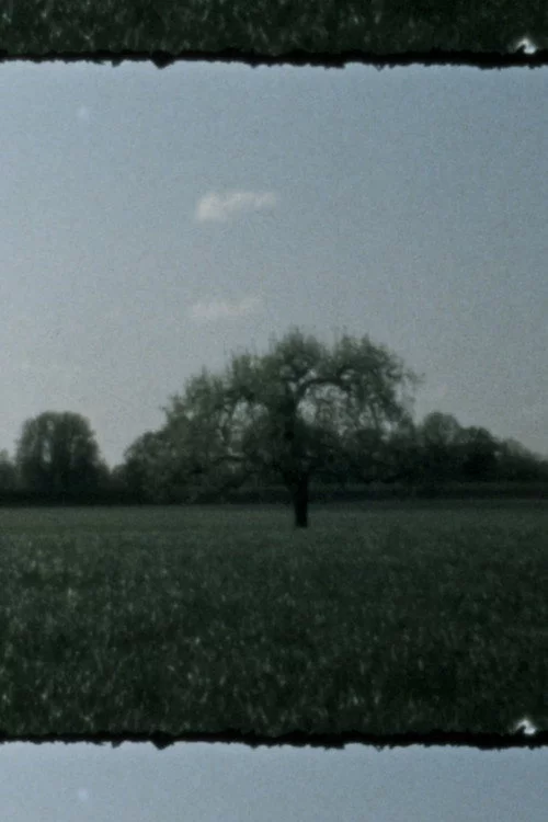 Landscape as Landscape 3
