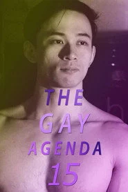 The Gay Agenda 15