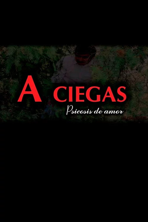 A Ciegas
