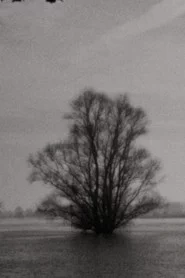 Landscape as Landscape 2