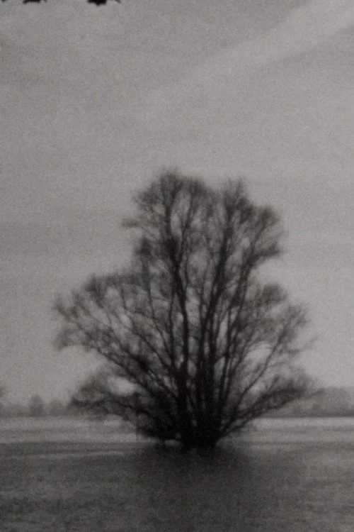 Landscape as Landscape 2