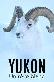 Yukon : Un rêve blanc