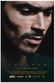 Polilla