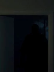 Neighbors