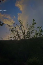 fui por aí
