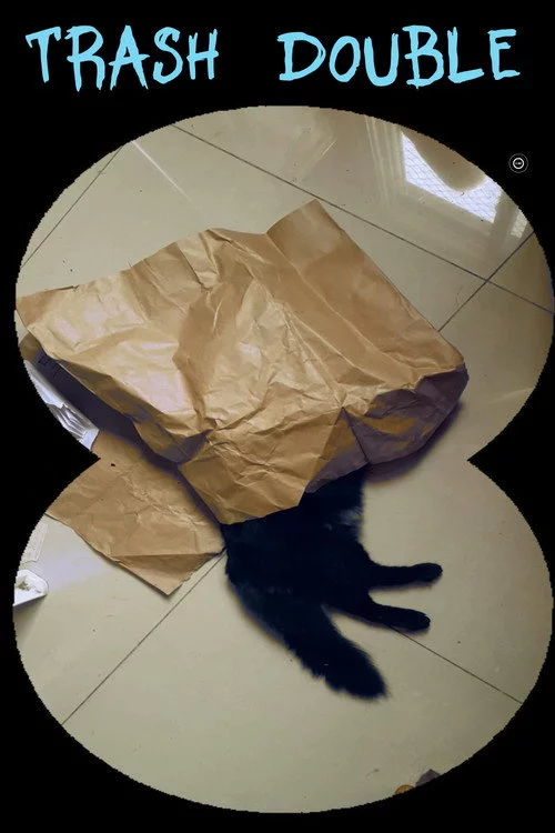 Dublê de Lixo