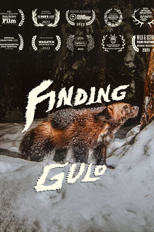 Finding Gulo