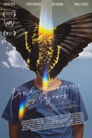 Donde duermen los pájaros