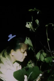 Co mo li