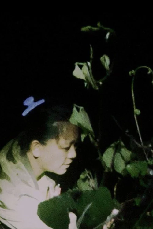Co mo li