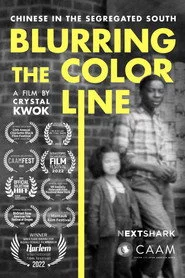 Blurring the Color Line: Chinese in the Segregated South