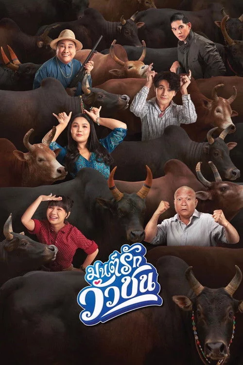 มนต์รักวัวชน