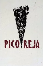 Pico Reja: la verdad que la tierra esconde