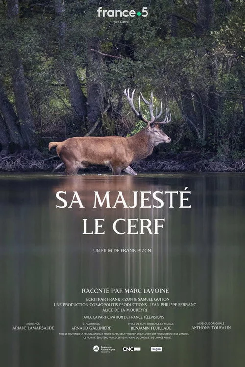 Sa majesté le cerf