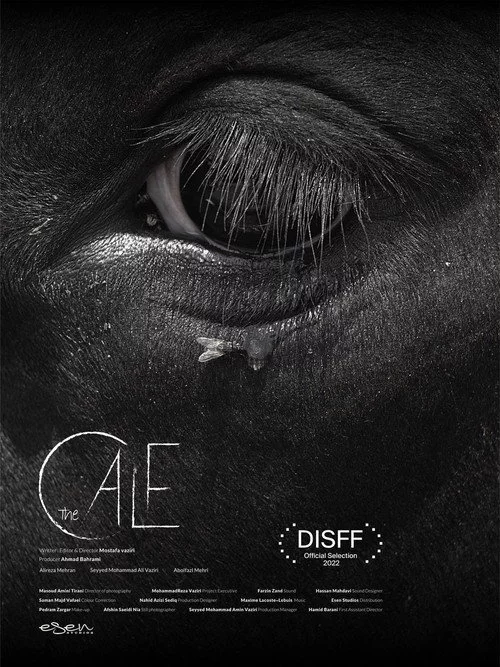 The Calf