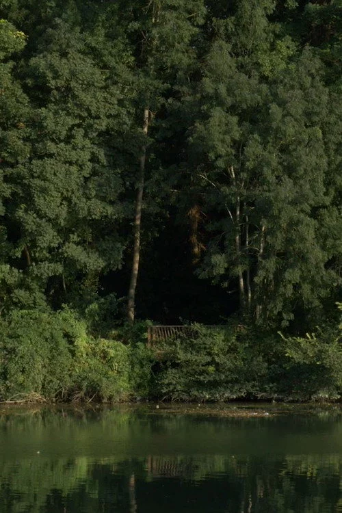 Étude d'un Paysage