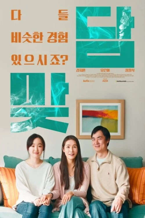 맞담