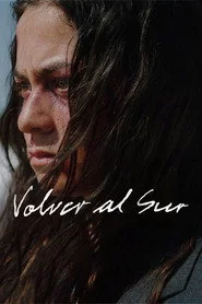 Volver al Sur