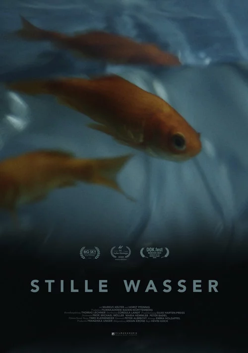 Stille Wasser