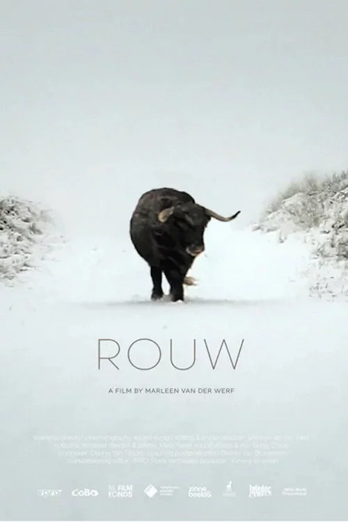 Rouw