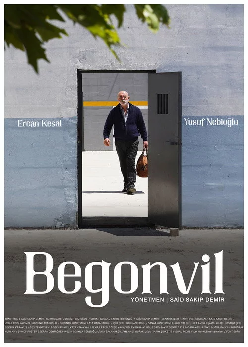 Begonvil