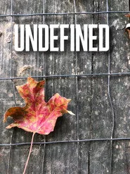 Undefined