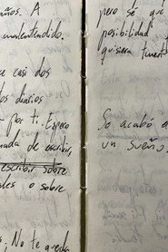 Releyendo mi diario (Autorretrato)