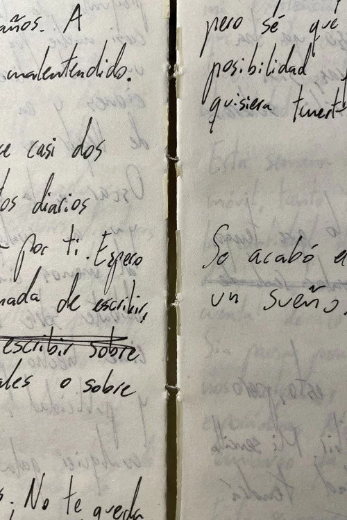 Releyendo mi diario (Autorretrato)