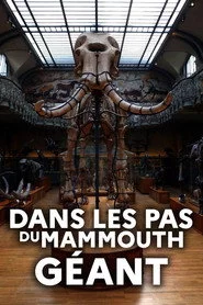 Dans les pas du mammouth géant