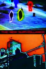 The New Surveillance