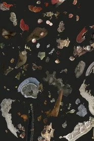 AI Mold Garden
