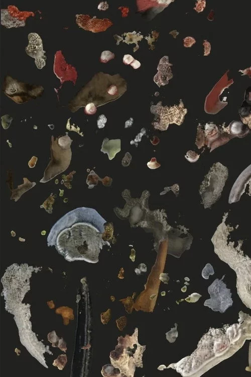 AI Mold Garden