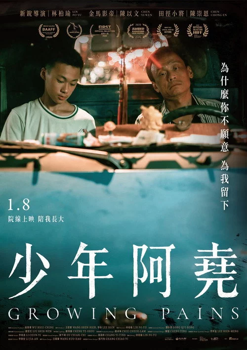 少年阿堯