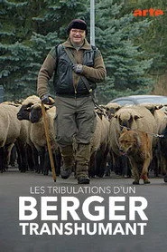 Les tribulations d'un berger transhumant