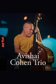 Avishai Cohen Trio – Shifting sands