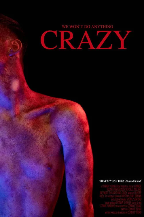 We Won't Do Anything Crazy
