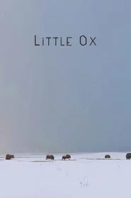 Little Ox