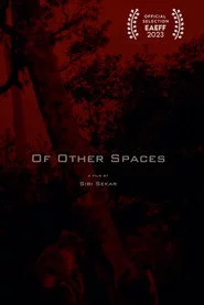 Of Other Spaces