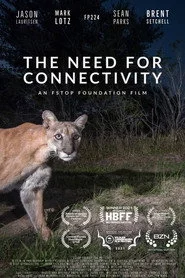 The Need for Connectivity