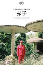 赤子