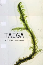 Taiga